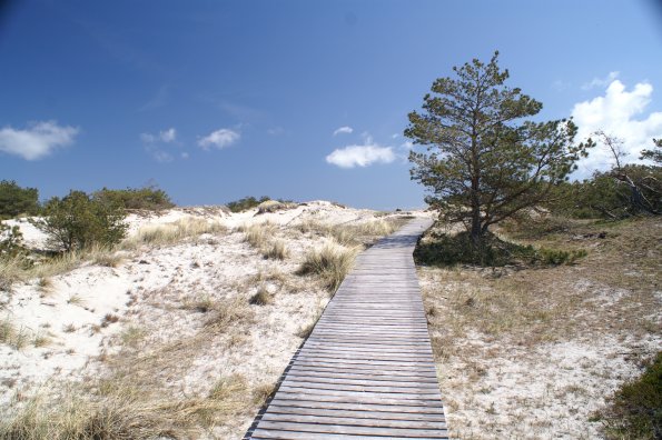 KONICA MINOLTA DIGITAL CAMERA